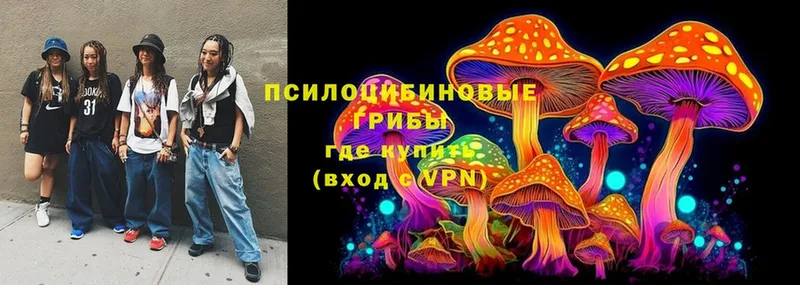 Галлюциногенные грибы Psilocybe Лениногорск